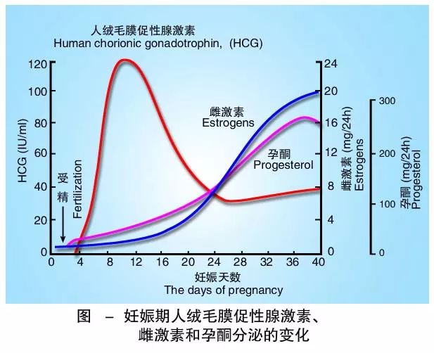 懷孕期間HCG低怎么辦？